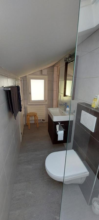 Chalet Sunnmaetteli Wilderswil Dış mekan fotoğraf