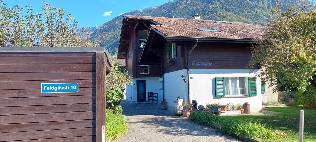 Chalet Sunnmaetteli Wilderswil Dış mekan fotoğraf